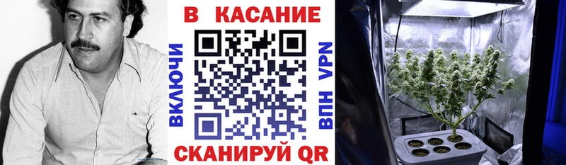 Наркота Кирово-Чепецк Галлюциногенные грибы Мефедрон А ПВП МАРИХУАНА Cocaine