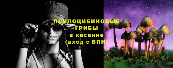 трава Аркадак