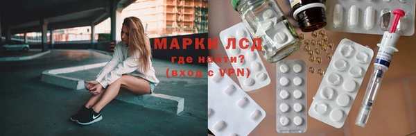 трава Аркадак