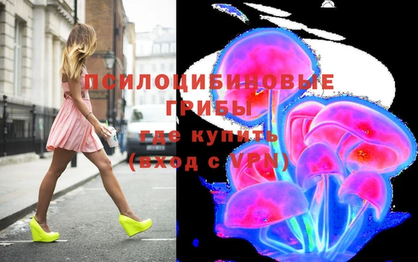МДПВ Арсеньев
