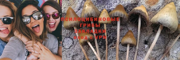 трава Аркадак