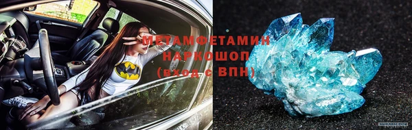 трава Аркадак